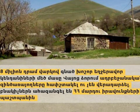 Վայոց ձորի մէջ ատրպէյճանցիները յափշտակած են 8 միլիոն դրամ վարկով գնուած խոշոր եղջերաւոր կենդանիներու մեծ մասը