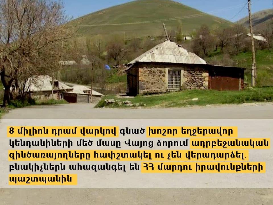Վայոց ձորի մէջ ատրպէյճանցիները յափշտակած են 8 միլիոն դրամ վարկով գնուած խոշոր եղջերաւոր կենդանիներու մեծ մասը