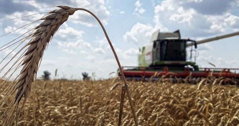 Ռուսաստանը որոշած է ժամանակաւոր դադրեցնել հացահատիկի արտահանումը